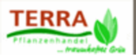 TERRA