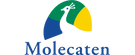 Molecaten