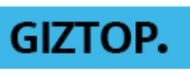 Giztop