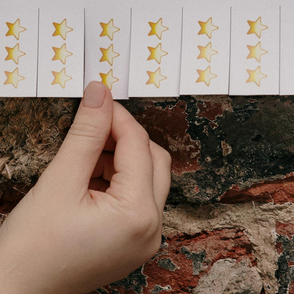 Consumer Trust in Online Reviews: The Digital Feedback Loop