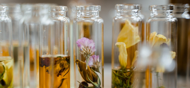 A Perfumed Tale: How Your Perfume Reveals Insights into Your Lifestyle