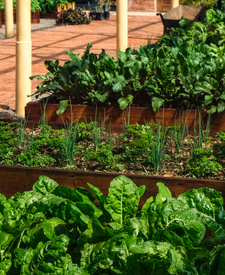 Acciaio corten in giardino: caratteristiche e usi nel verde