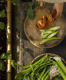 Guía para empezar la Dieta Vegana en 2022