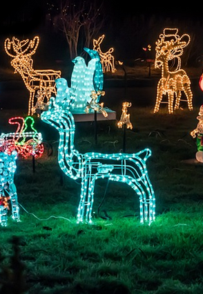 ¿Merece la pena hacer la decoración de Navidad en el Jardín?