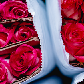 Valentine's Day Gifts for Her that she'll love!