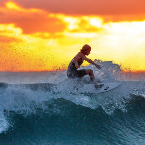 ¿Qué tipo de marcas de ropa de surf podemos encontrar?