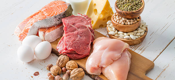 How does a high protein diet work？