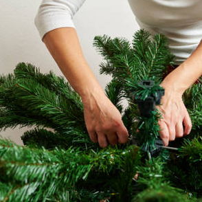Christmas trees: Live or Artificial?