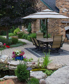 Designing a Tropical Garden Oasis in Your Backyard