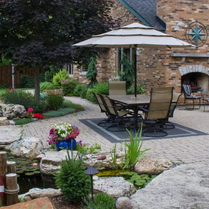 Designing a Tropical Garden Oasis in Your Backyard