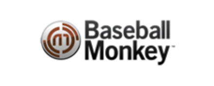 Baseball Monkey