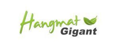 HangmatGigant.nl